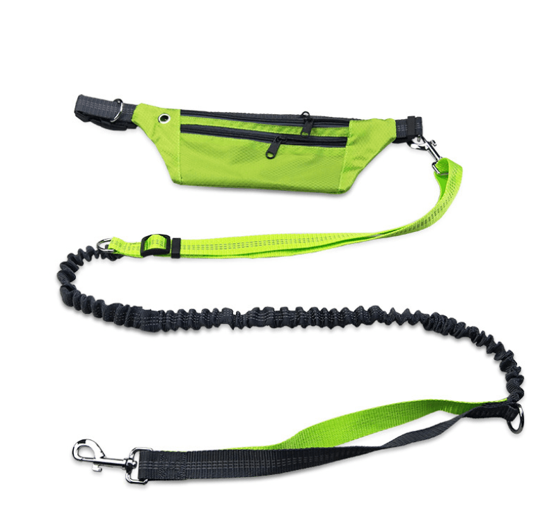 Hands-Free Dog Leash: The Ultimate Freedom For Active Dog Owners